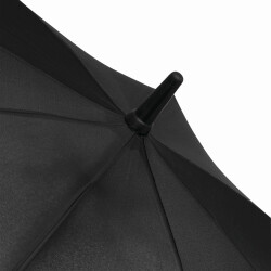 Stockschirm Automatik 103cm Damen, Herren Schwarz - Grün Öffnung per Knopfdruck