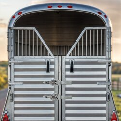 Spannverschluss 4er Set 220x88 mm verzinkt mit Hebelverschluss und Gegenstück stabile Exzenterverschlüsse für Kisten Anhänger Bordwände Transportboxen korrosionsgeschützt belastbar