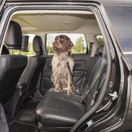 Hundesicherheitsgurt mit Autogurt Adapter bis 65 cm Kurzleine Sicherheitsgurt AS