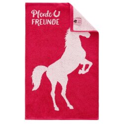 Kinderhandtuch Typ Set Pferdefreunde Handtuch Kinder Kinderhandtücher Handtücher