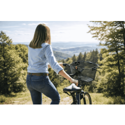 Metall Fahrradkorb schwarz 338x250x260 mm 22L mit...